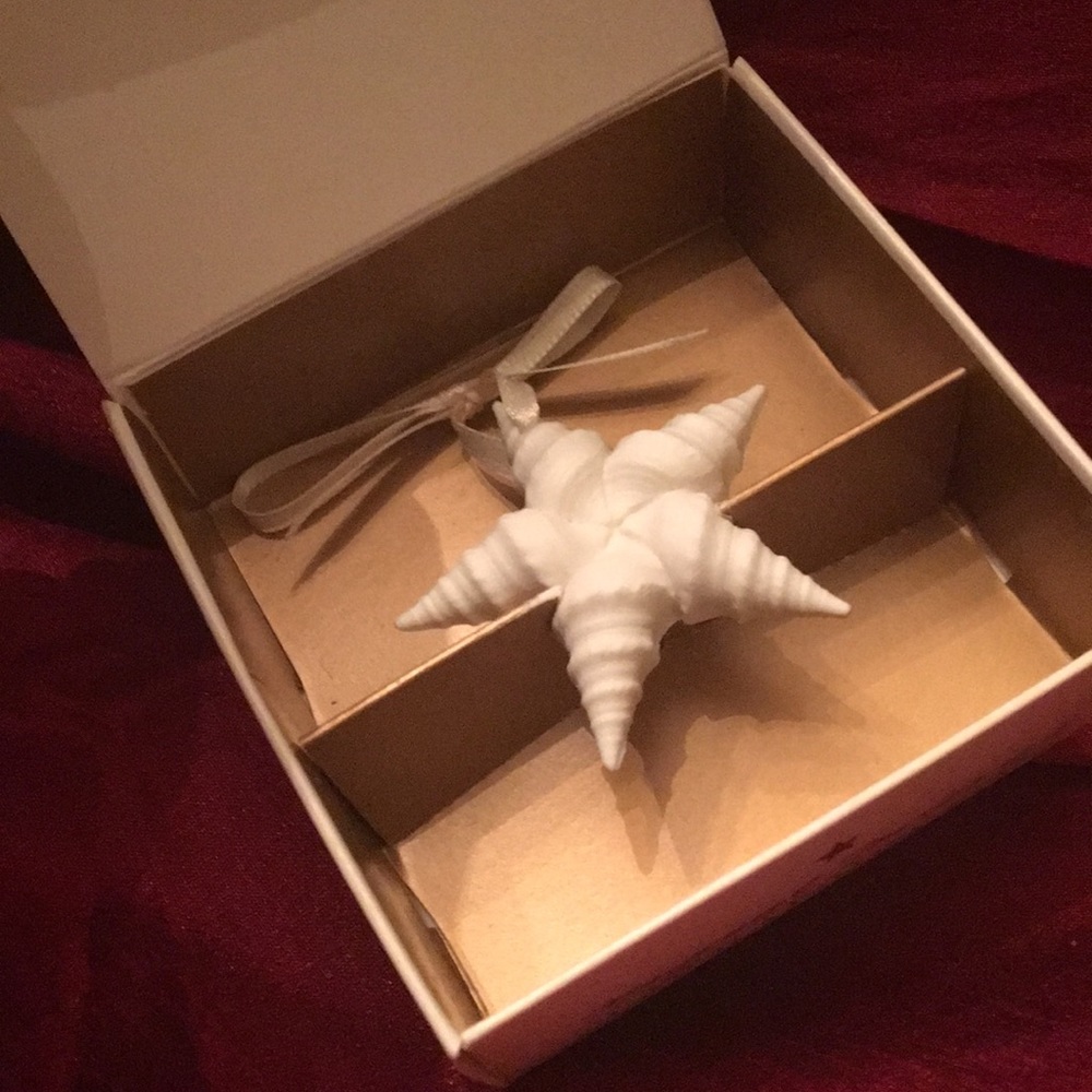 Margaret Furlong Catch a Falling Star ornament